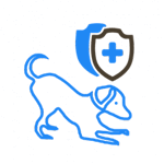 Dog and cat vaccination vet clinics in East York