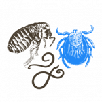 Dog and cat flea & tick treatment vet clinics in East York